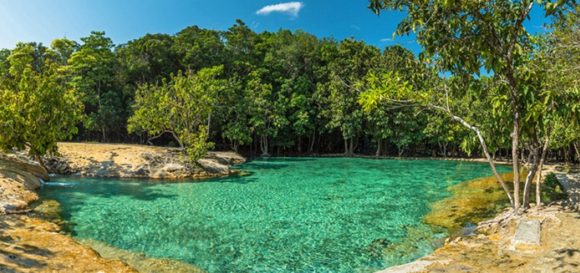 Discover the Hidden Paradise: Your Guide to the Enchanting Emerald Pool in Krabi, Thailand
